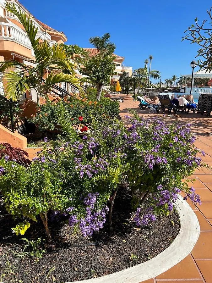 Comfort Apartment En Tenerife Royal Gardens Playa de las Americas  Playa de las Americas (Tenerife)